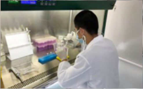 Technician working inside a biosafety cabinet
