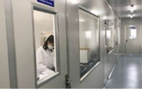 Clean-room doors along a corridor