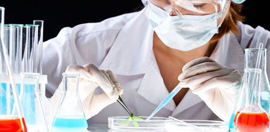 Laboratory technician pipetting onto a plant sample in a petri dish