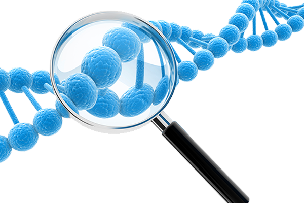 Magnifying glass over a blue DNA helix